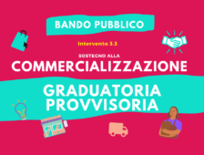 BANDO GAL INTERVENTO 3.3 - Graduatoria Provvisoria