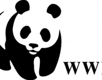 WWF - Bando per i pescatori artigianali del Mediterraneo
